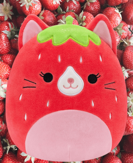 Olma the Strawberry Cat Squishmallow