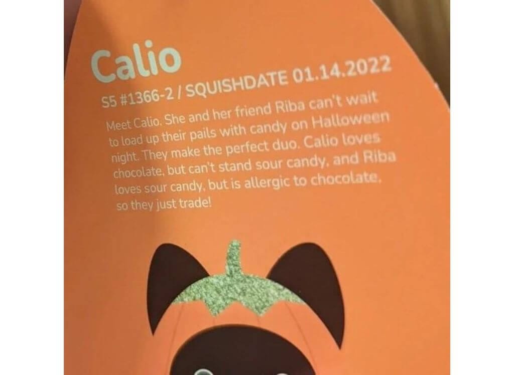 Calio the Cat in a Pumpkin Costume Tag