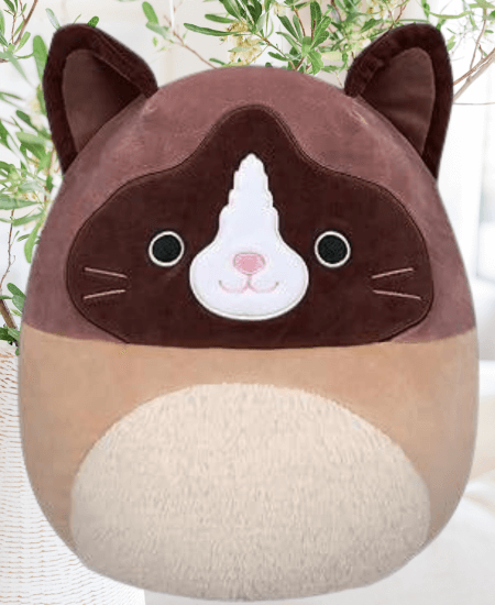 Woodward the Snowshoe Cat Squishmallow