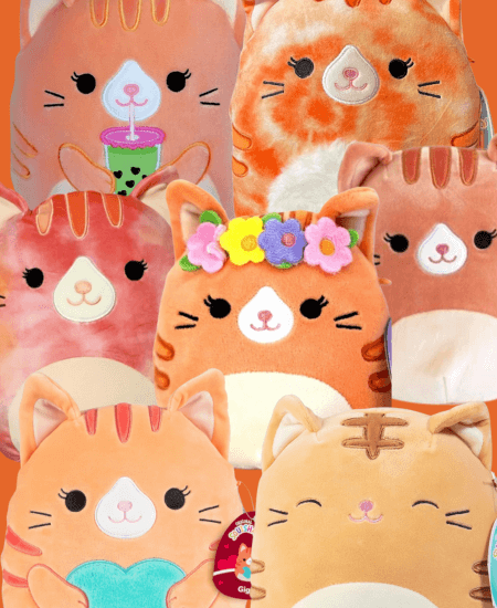 Orange Cat Squishmallows Collection