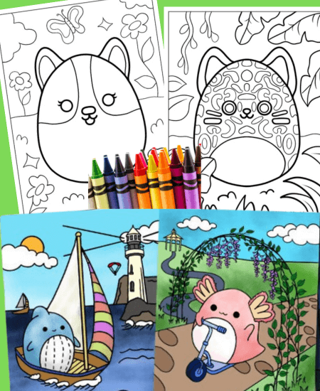 Printable Squishmallow Coloring Pages