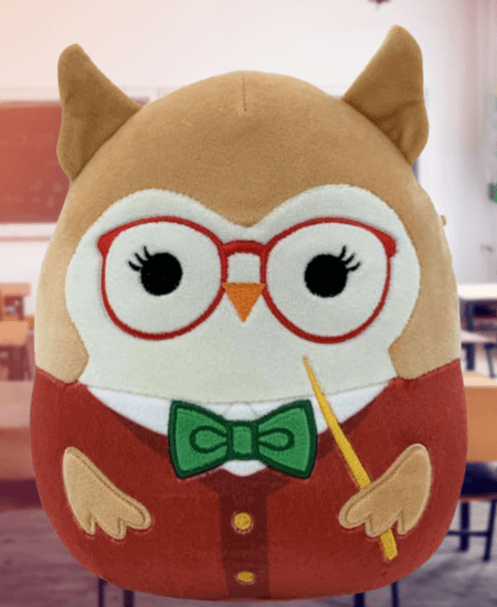 Jaydelle the Owl, Squishmallow Teacher, is Back to School